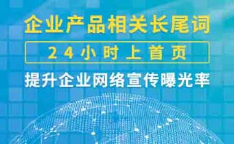 網(wǎng)站SEO優(yōu)化需要多少錢