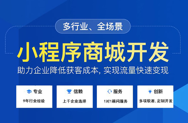 平臺公司定制小程序開發(fā)